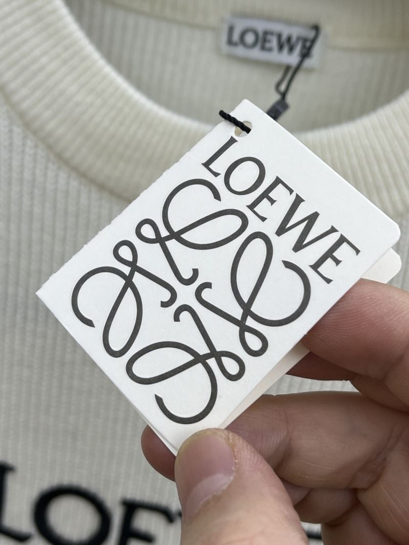 Loewe Sweaters